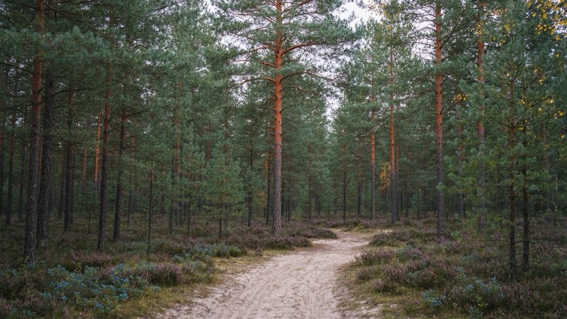 Beispielbild aus der Gegend — kein Foto dieses Parcours